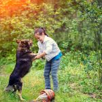 Guide pour aider votre enfant à dresser son chien